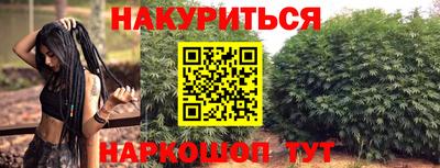 spice Севастополь